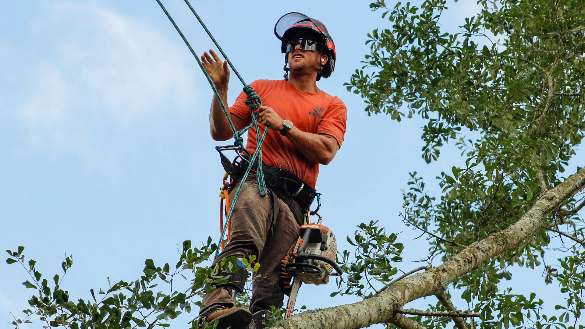 Jonny Brook climbing high in a tree with chainsaw, Brook Tree Service - Cullman, AL